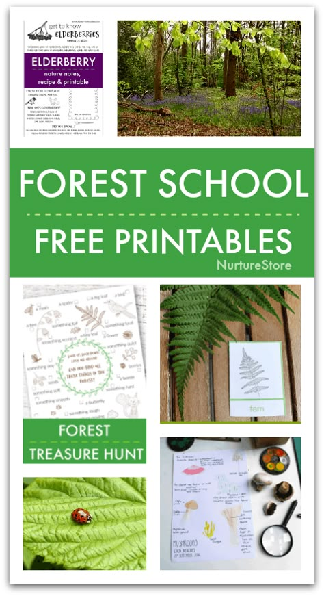 Forest School Printables, Forest School Curriculum, Homeschool Nature Study Free Printables, Forest Projects For Kids, Wild Schooling, Winter Forest School Activities, Nature School Design, Nature School Activities, Forest School Ideas