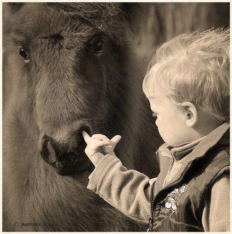 Posted by Tina Dai Bad Family Photos, Funny Bunnies, The Nose, A Horse, 귀여운 동물, Funny Kids, Old Photos, Make Me Smile, Baby Animals