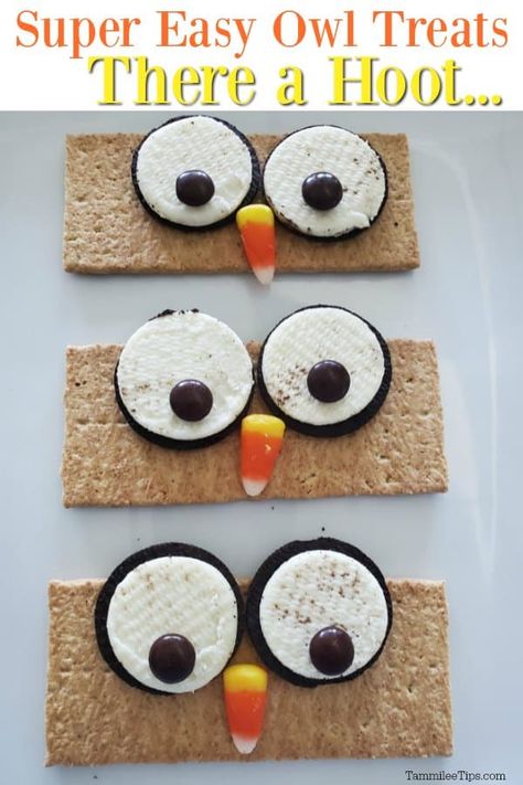 How To Make Graham, Owl Snacks, Owl Treats, Classroom Snacks, Preschool Cooking, Animal Snacks, Fall Parties, Preschool Snacks, Fall Snacks