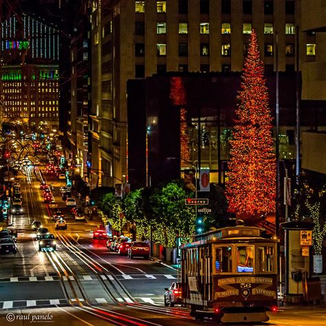 California Street - San Francisco Photo by: Raul Panelo Christmas In San Francisco, San Francisco Photos, Car Christmas, Christmas In The City, San Fernando Valley, Mormon Temple, San Francisco City, Cable Car, San Fran