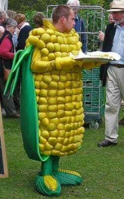 Corn man Food Costume Ideas, Vegetable Costumes, Corn Costume, Food Halloween Costumes, Ear Of Corn, Halloween Costume Props, Food Costumes, Hot Costume, Holloween Costume