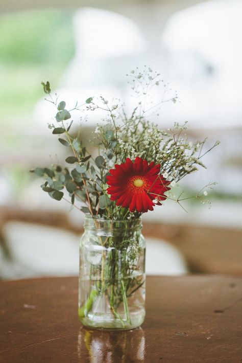 Gerbera Wedding Decoration, Daisy Wedding Centerpieces, Gerbera Daisy Centerpiece, Gerber Daisy Bouquet, Red Gerbera Daisy, Gerbera Wedding, Gerbera Daisy Wedding, Gerbera Daisy Bouquet, Daisy Centerpieces