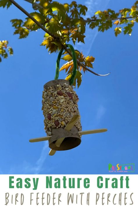 Preschool Bird Feeder Craft, Toilet Paper Bird Feeder, Preschool Bird Feeders No Peanut Butter, Easy Bird Feeder Craft, Pinecone Bird Feeder No Peanut Butter, Diy Bird Feeder Kids, Life Cycle Of A Bird, Toilet Paper Roll Bird Feeder, Paper Roll Bird Feeder