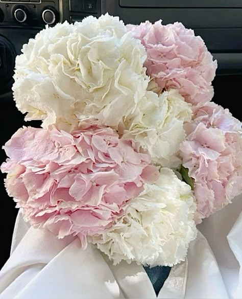 Hydrangea Bouquet Pink, Light Pink Bouquet, Pink Hydrangea Wedding, Charlotte York, Peonies And Hydrangeas, Hydrangea Bouquet, Boquette Flowers, Pink Aura, Pink Hydrangea