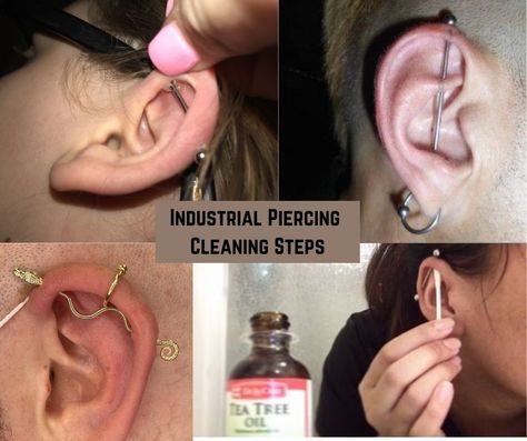 It is something the new generation loves a lot. And in order to get it done, most of the time, they go for industrial piercing. But what is the most neglected thing is the Industrial piercing cleaning. How To Clean Industrial Piercing, Industrial Piercing Healing Process, Industrial Piercing Infected, Cute Industrial Piercing, Piercing Cleaning, Best Cleaner, Industrial Piercing, Get It Done, Healing Process