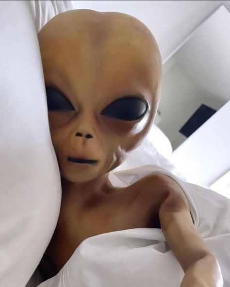 Alien Selfie, Paul The Alien, Alien Pfp, Lil Mayo, Alien Meme, Alien Eyes, Alien Pictures, Alien Photos, Luxury Birthday Gifts