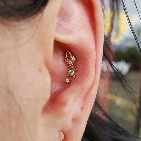 Triple Conch Piercing, Smile Piercing, Bvla Jewelry, Piercings Ear Conch, Curated Ear, Cool Ear Piercings, Pretty Ear Piercings, Cool Piercings, Piercings Unique