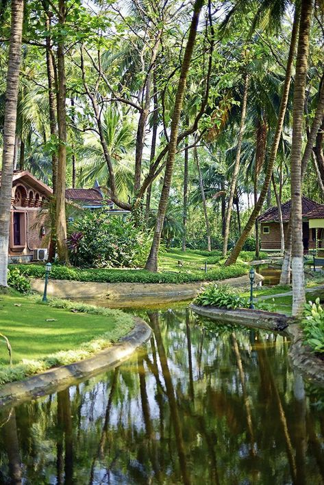 Kerala Village Photos, Village In Forest, Tamil Aesthetic, Palakkad Kerala, Nature Scape, Kerala Trip, Native Plant Landscape, Kerala Architecture, Village Photo