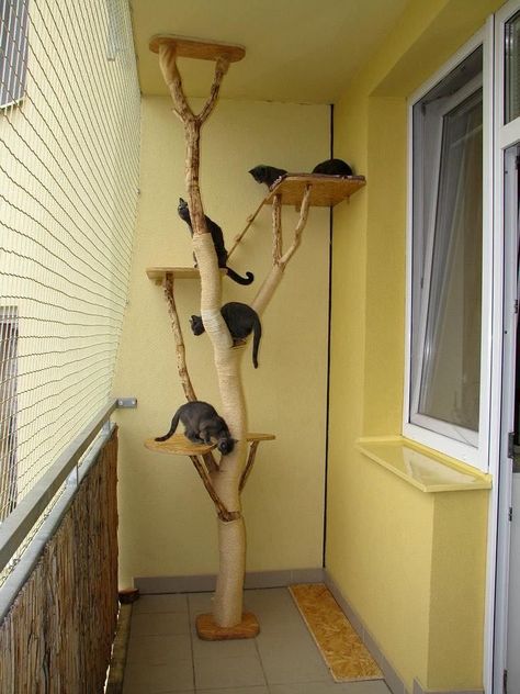 Cat Tree Plans, Katt Diy, Cat Room Decor, Cat Furniture Design, Katt Grejer, Kat Diy, Cat Patio, Cat Hotel, Cat Tree House