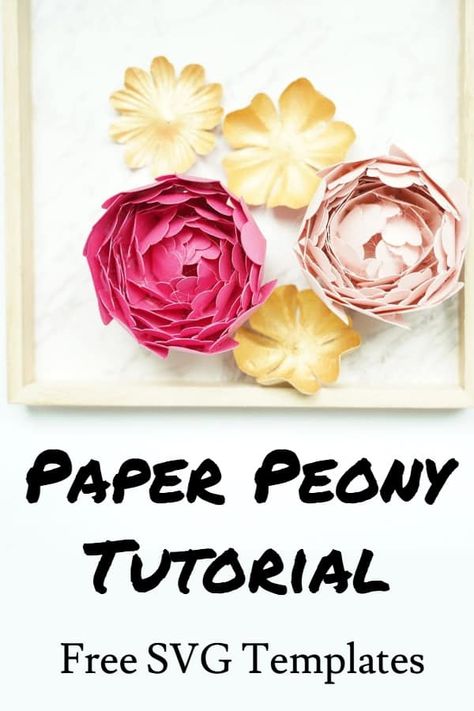 DIY easy paper peony flower with cardstock. Free SVG template cut files Paper Peony Template, Crepe Paper Peonies, Paper Peonies Tutorial, Flower Templates Printable Free, Origami Paper Flowers, Printable Flower, Paper Peonies, Cool Paper Crafts, Paper Flower Template