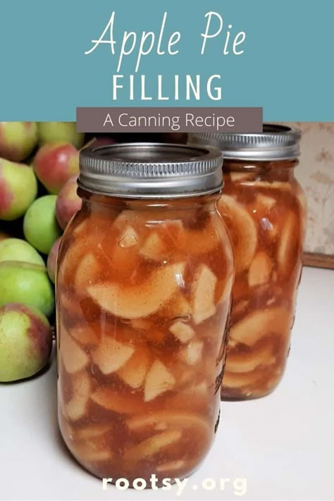 Canning apple pie filling at home is a safe and delicious way to use up the fall harvest for easy pie and dessert baking later. Get the recipe and ideas for spice substitutions, sugar amounts, and ways to use it beyond pie on our blog. #canning #homemaderecipes #fromscratch Canning Apple Pie Filling, Apple Pie Filling Recipe, Homestead Cooking, Canning Apples, Apple Pie Filling Recipes, Homemade Apple Pie Filling, Canned Apple Pie Filling, Best Apple Pie, Pie Filling Recipes