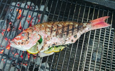 Grill Whole Fish, How To Grill Fish, Grilled Whole Snapper, Grilled Whole Red Snapper, Grilled Fish Fillet, Trigger Fish Recipe Grilled, Homemade Grill, Chicken Jalfrezi Recipe, Gosht Recipe