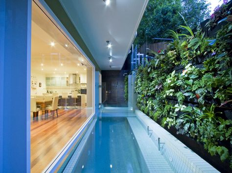 Small Lots & Boundary Pool Issues - No Problem - Call Rogers Pools in Brisbane Pool On A Slope, Backyard Pool Ideas, Backyard Pool Design, Semi Inground Pools, Architecture Design Process, Pool House Designs, Brighton Houses, Pool Landscape Design, Small Pool Design