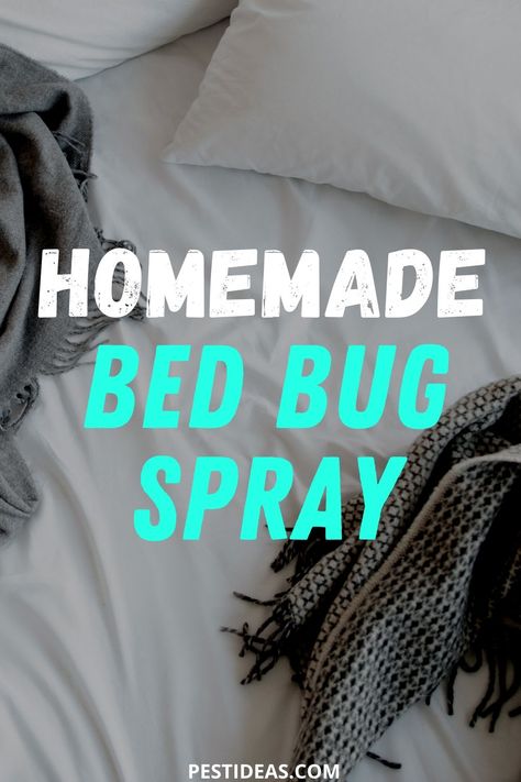 Bed Bugs How To Get Rid Of Diy, Bed Bug Repellent Essential Oils, Bedbugs Removal Diy, Bed Bugs How To Get Rid Of Fast, How To Get Rid Of Bed Bug Bites, Bedbugs Removal Diy Essential Oils, Bed Bugs How To Get Rid Of, Bed Bug Spray Essential Oils Diy, How To Kill Bed Bugs