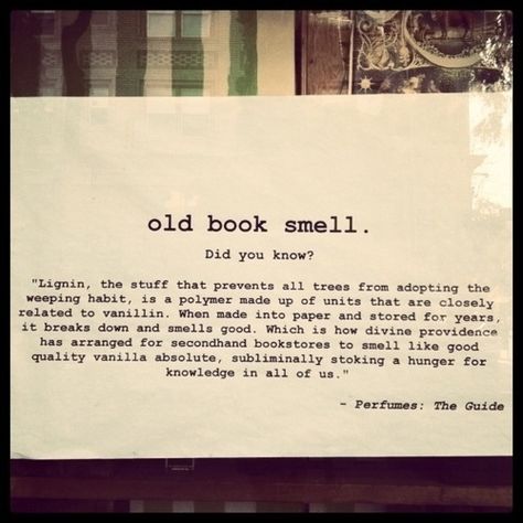 love that smell Ernst Hemingway, Books And Tea, Books To Read Before You Die, Old Book, Book Store, Book Nooks, Old Books, Die Hard, I Love Books