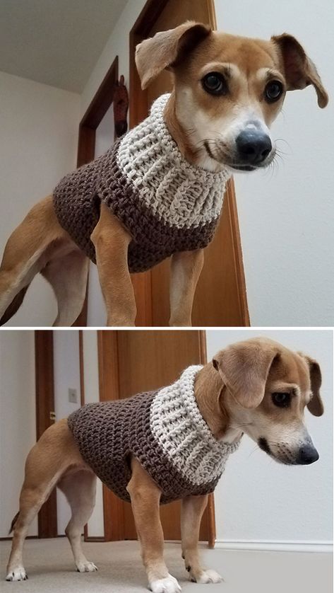 Knit dog sweater