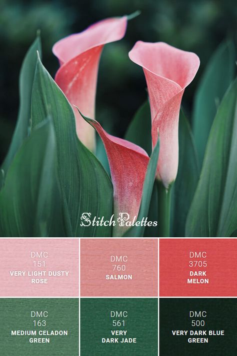 Floss color inspiration for cross stitch and embroidery projects. Thread colors used: DMC 151: Very Light Dusty Rose / DMC 760: Salmon / DMC 3705: Dark Melon / DMC 163: Medium Celadon Green / DMC 561: Very Dark Jade / DMC 500: Very Dark Blue Green. Palette ID: SPA0023 Stitch Palette, Stitch Palettes, Christmas Palette, Green Color Combinations, Color Schemes Colour Palettes, Dmc Embroidery, Pink Palette, Warm Palette, Green Palette