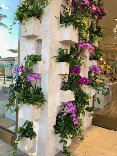 Green Salon, Orchid Wall, Planting Succulents Indoors, Orchid House, Wall Planters Indoor, Courtyard Gardens Design, Vertical Garden Wall, Growing Orchids, Orchids Garden