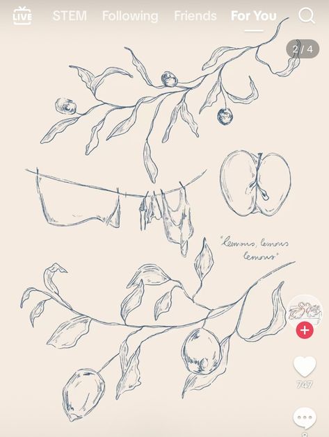 Orange Tree Branch Tattoo, Fruit Branch Tattoo, Tree Branch Tattoo, Fruit Branch, Branch Tattoo, Orange Tree, Fruit Design, Drawing Stuff, Tattoo Inspo