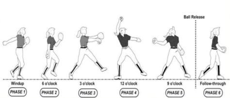 windmill pitching drill diagram Fastpitch Pitching Drills, Softball Pitching Drills, Pitching Drills, Softball Cheers, Softball Workouts, Sports Illustration, Softball Pitcher, Softball Drills, Softball Bows