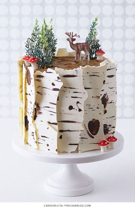 Birch Tree Cakes, Decorated Desserts, Moist Spice Cake, Rodjendanske Torte, Decorate Cake, Shower Outdoor, Spice Cake Recipes, Cake Hacks, Log Cake