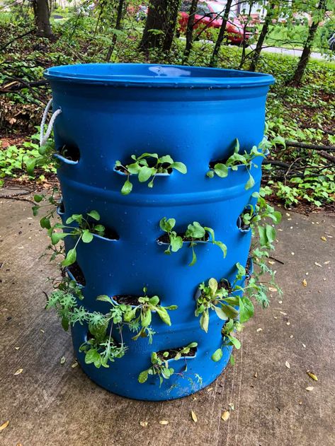 Create beautiful additions to your garden by turning food-grade barrels into barrel planters. With a couple of tools, it is an easy project for a weekend. Painted Barrel Planter, Half Barrel Planter, Half Barrel Planter Ideas, Barrel Garden Ideas, Barrel Garden Planters, Plastic Barrel Planter, Garden Spade, Bucket Planters, Small Garden Landscape