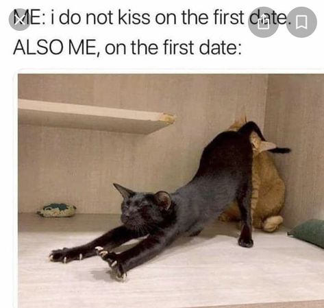 First Date Meme, Inappropriate Memes, Meme Humor, Morning Quotes Funny, Dark Memes, Dating Memes, Funny Cute Cats, Quick Jokes, First Date