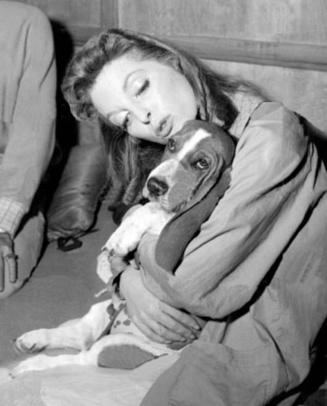 26 Celebrities With Basset Hounds – Page 6 – The Paws Basset Hound Funny, Best Text, Hounds Of Love, Julie London, Celebrity Dogs, Alien 1979, Hound Dogs, Basset Hound Puppy, Hound Puppies