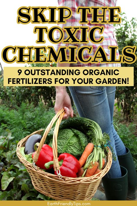 Picture of woman carrying basket full of fresh garden vegetables with text overlay Skip the Toxic Chemicals 9 Outstanding Organic Fertilizers for Your Garden! Best Fertilizer For Vegetable Garden, Natural Fertilizer For Garden, Organic Fertilizer For Vegetables, Veggies Garden, Organic Fertilizers, Tomato Fertilizer, Organic Gardening Pest Control, Compost Tea, Herb Recipes