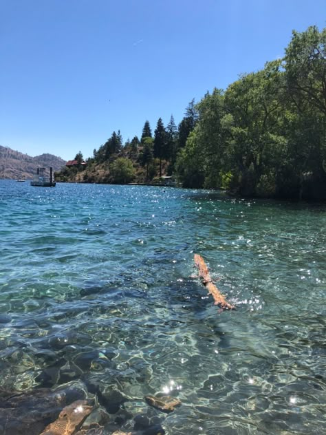 Beautiful lake scenery Summer Aesthetic Scenery, Swimming At The Lake, Swimming In A Lake Aesthetic, Lake Chelan Aesthetic, Bc Summer Aesthetic, Swimming Lake Aesthetic, Lake Aestethic, Summer On The Lake, By The Lake Aesthetic