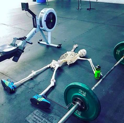 Gym Playlist Cover Aesthetic Funny, Gym Aesthetic Spotify Cover, Exercise Playlist Cover, Funny Gym Aesthetic, Playlist Covers Photos Gym, Funny Gym Pics, Playlist Covers For Workout, Exercise Spotify Playlist Cover, Workout Playlist Cover Photo