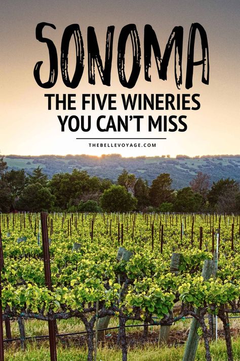 Sonoma California Wineries, California Wineries, Wine History, Wine Tips, Napa Trip, Napa Valley Trip, Hidden City, Sonoma Wineries, Wine 101