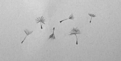 Dandelion Seed Drawing, Dandelion Seeds Tattoo, Dandelion Seed Tattoo, Seed Tattoo, Dandelion Drawing, Blowing Dandelion, Art Plan, Dandelion Seeds, Cute Little Tattoos