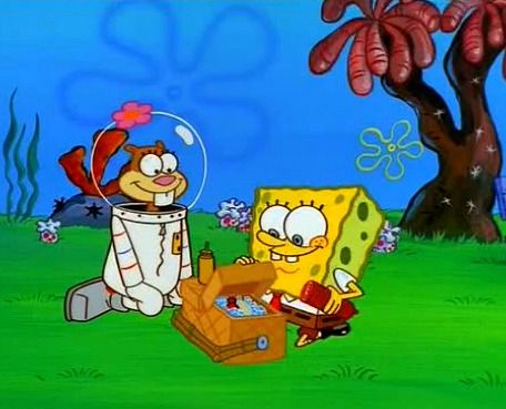 Spongebob Ships, Spongebob Widget, Picnic Cartoon, Spongebob Photos, Sandy Spongebob, Spongebob Sandy, Spongebob And Sandy, Oswald The Octopus, Spongebob Friends