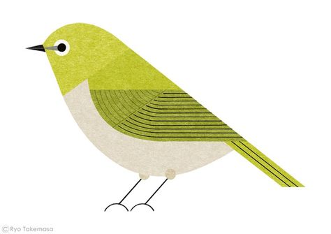 Ryo Takemasa | Bird handbook Ryo Takemasa, Geometric Bird, Bird Graphic, Bird Quilt, Affinity Designer, White Eyes, Amazing Drawings, Bird Drawings, Bird Illustration