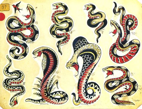 American traditional cobra tattoos Flash Art Tattoos, Sailor Jerry Flash, Traditional Snake Tattoo, Sailor Jerry Tattoo Flash, Tattoo Museum, Cobra Tattoo, Snake Tattoos, Sailor Jerry Tattoos, Kunst Tattoos