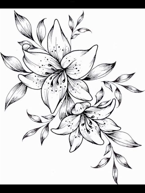 Lily Vine Tattoo Design, Lillie Tattoos For Women, Tiger Lily Tattoo Stencil, Tiger Lilly Tattoo Design, Black And White Lily Tattoo, Tiger Lily Flower Drawing, Lily Outline Tattoo, Tiger Lilly Drawing, Lily Floral Tattoo