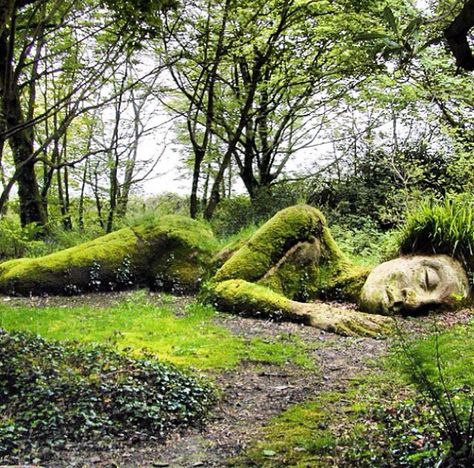 sleeping beauty Lost Gardens Of Heligan, Regnul Animal, Lost Garden, Moss Covered, Moss Art, The Secret Garden, Land Art, Dream Garden, Garden Inspiration