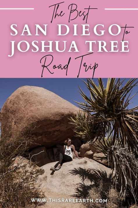 Los Angeles Road Trip, Tree Road, San Andreas Fault, Tree Day, Palm Spring, National Park Road Trip, Road Trip Destinations, California Vacation, American Travel