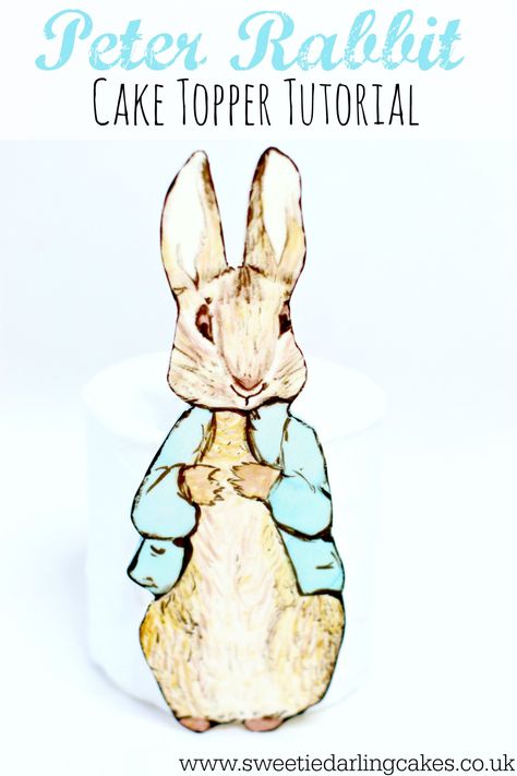 How to make a Peter Rabbit Cake Topper. Peter Rabbit Cake Topper Tutorial Peter Rabbit Cake Topper, Crumb Coating A Cake, Rabbit Cake Topper, Crumb Coat, Peter Rabbit Cake, Rabbit Cake, Cake Topper Tutorial, Sugar Rose, Cake Decorating Videos