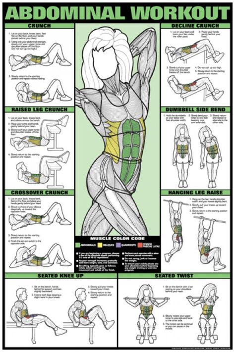 Muscle Groups To Workout, Target Workout, Workout Man, Sixpack Workout, Muscle Abdominal, Workout Posters, Leg Curl, Trening Fitness, Best Abs