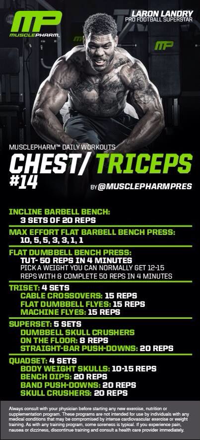 Chest/triceps Tris Workout, Inner Leg Workout, Musclepharm Workouts, Tricep Workout, Muscle Pharm, Workout Program, Chest Workouts, Golden Ratio, Bodybuilding Training