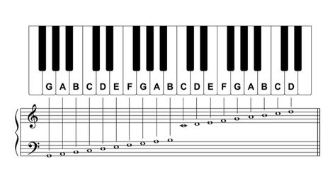 Piano Keys Labeled, Piano Chart, Midi Piano, Learn Piano Notes, Full Keyboard, Music Theory Piano, Beginner Piano Music, Notes Piano, Keyboard Lessons