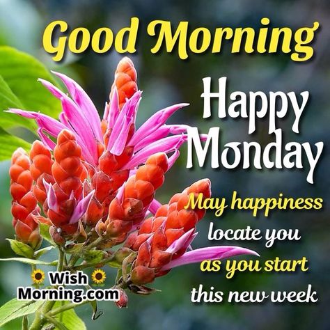 Monday Morning Meme, Monday Morning Images, Monday Morning Greetings, Monday Morning Wishes, Happy Monday Images, Happy Sabbath Images, Monday Greetings, Monday Wishes, Good Morning Monday Images