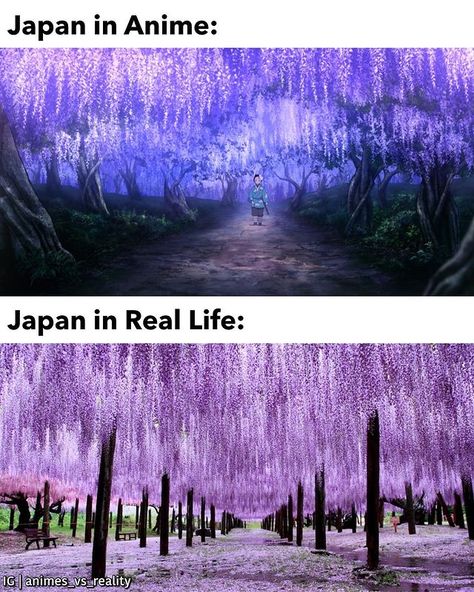 Anime in Japan no Instagram: “🌊 Tag a friend you want to go to Japan with 💜 Anime: Demon Slayer Location: Tochigi ▶ Follow @animes_vs_reality for more posts like…” Anime In Japan, Anime Vs Real Life, Anime Places, Memes In Real Life, Go To Japan, Anime Demon Slayer, Life Memes, Tag A Friend, Light Novel