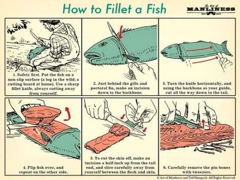 Survival Guide Book, Fish Poster, Art Of Manliness, Survival Life Hacks, Apocalypse Survival, Survival Techniques, Budget Planer, Survival Life, Survival Food