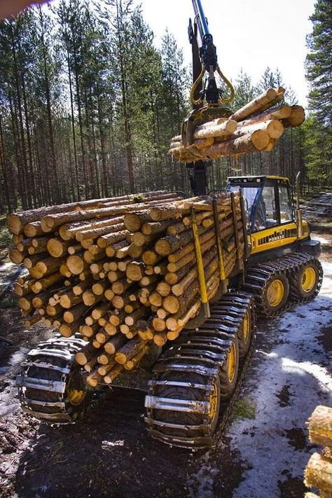 Sawmill Lumber, Logging Industry, Musk Ox, Logging Equipment, Heavy Construction Equipment, Forestry Equipment, All-terrain Vehicles, Heavy Machinery, Truck Design