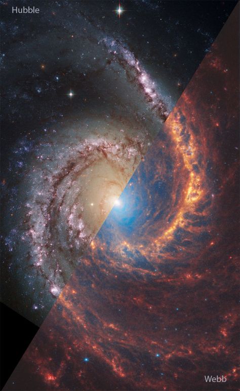 Explanation Writing, Largest Telescope, Astronomy Pictures, Galaxy Images, Hubble Images, Space Stuff, James Webb Space Telescope, Spiral Galaxy, Hubble Space