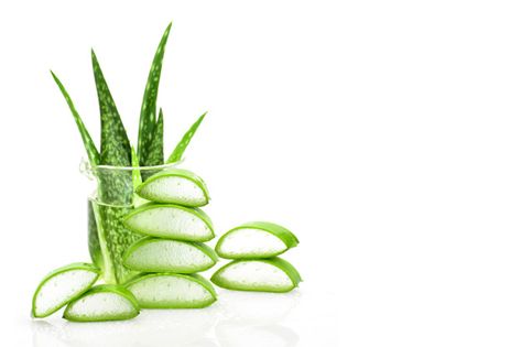 Slice aloe vera useful herbal medicine f... | Premium Photo #Freepik #photo #water #leaf #medical #nature Herbal Logo Design, Aloe Vera Image, Aloe Vera Gel Forever, Herbal Logo, Skin Care And Hair Care, Tanning Skin Care, Photo Water, Fresh Aloe Vera, Turmeric Milk