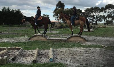 Courses That Host IMTCA Events | IMTCA Therapy Farm, Campground Ideas, Horse Obstacles, Riding Ideas, Working Equitation, Horse Trails, Horse Training Exercises, Trail Horse, Horse Farm Ideas